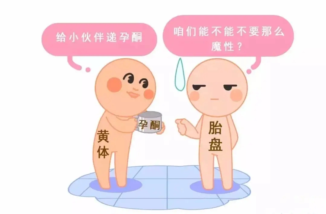 HCG和孕酮低一定會(huì)流產(chǎn)？備孕女性必須知道的孕早期“秘密”