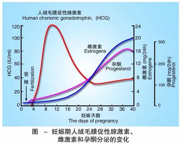 懷孕期間HCG低怎么辦？