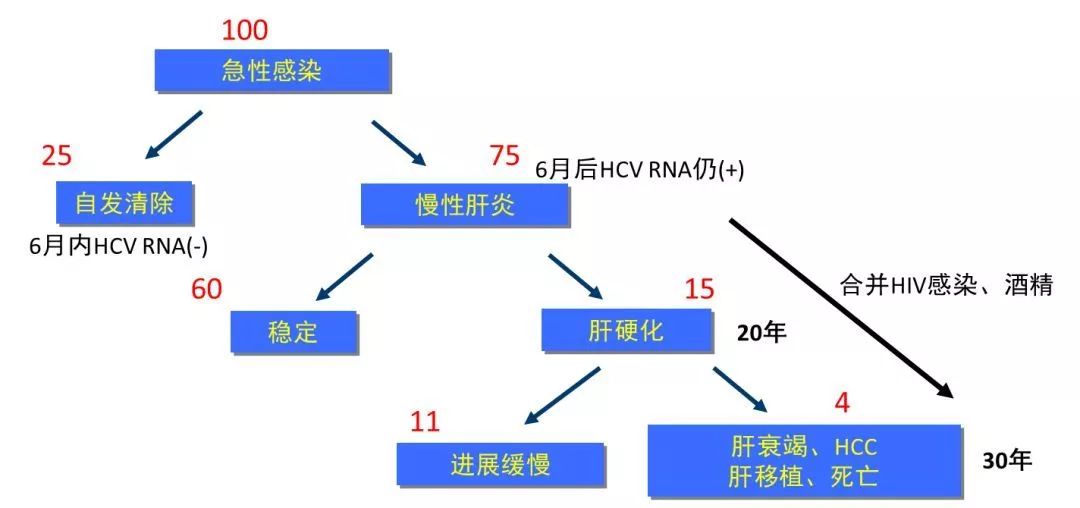 丙肝檢測的弱陽性究竟是不是感染了丙肝？