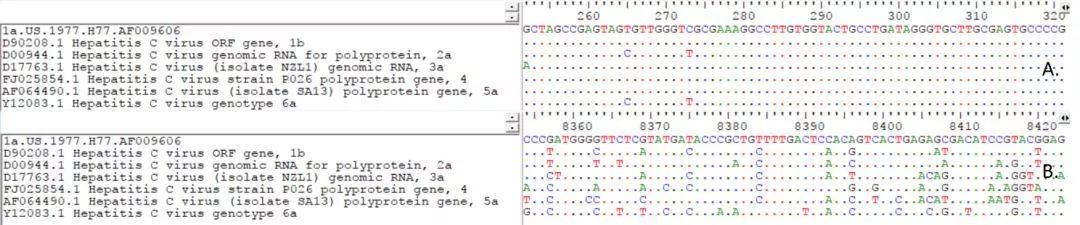 A.5’端非編碼區(qū)序列；B.NS5序列